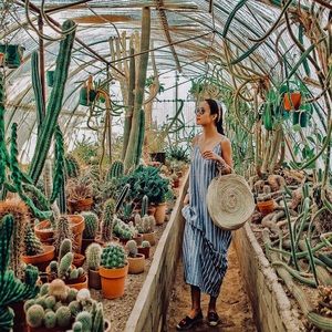 Bohemian Striped Dress